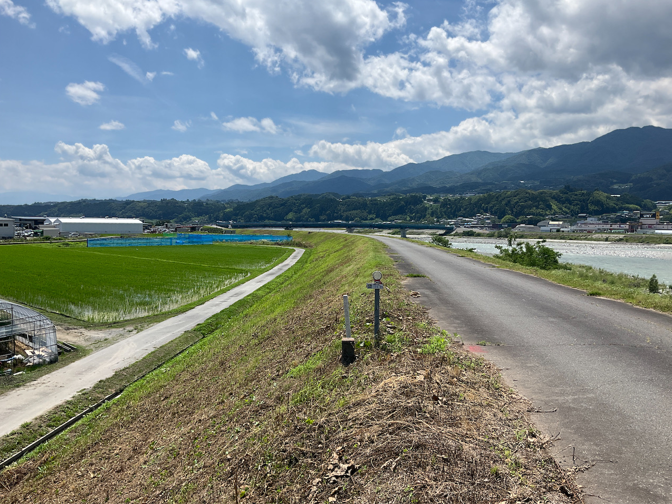 除草後の堤防画像1